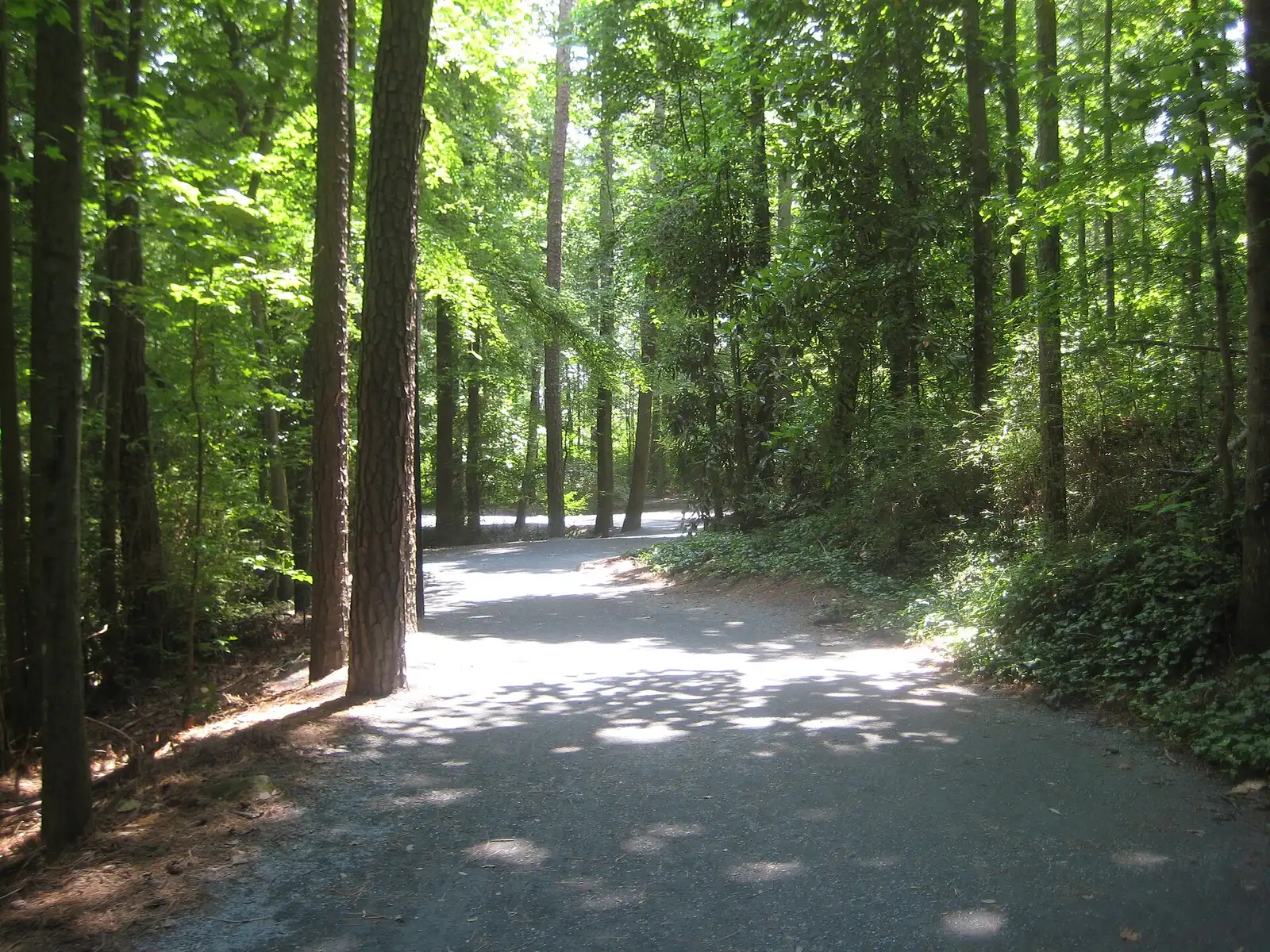 A walking trail at Roswell Area Park, which borders Roswell North Elementary on Woodstock Road